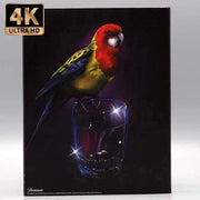 4K Ultra HD Vinegar Syndrome Ultra - The Golden Child Blu-Ray with Slipcase and Colorful Parrot Artwork.