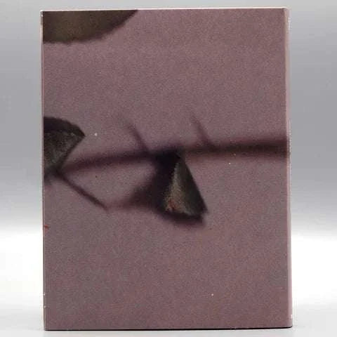 Young & Beautiful Blu-Ray slipcover featuring abstract close-up design with muted colors.