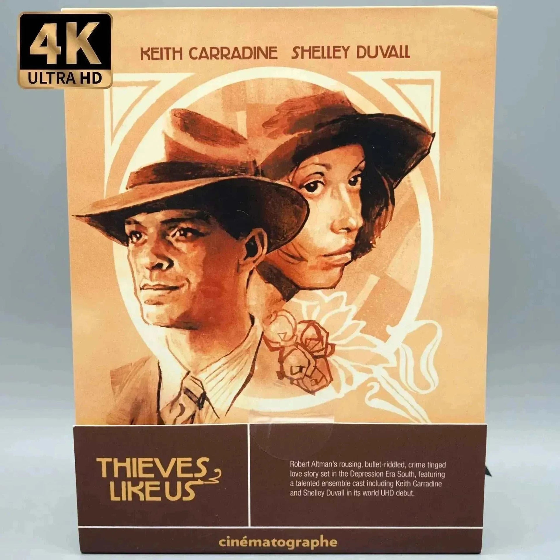 Thieves like us 4K movie cover