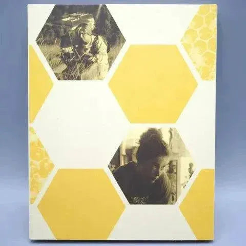Blu-Ray cover of Film Movement's 20,000 Species of Bees with slipcover, featuring hexagonal designs.