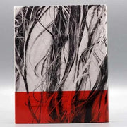 Breaking the Girls Blu-Ray slipcover featuring abstract black and white hair strands with a red band at the bottom.