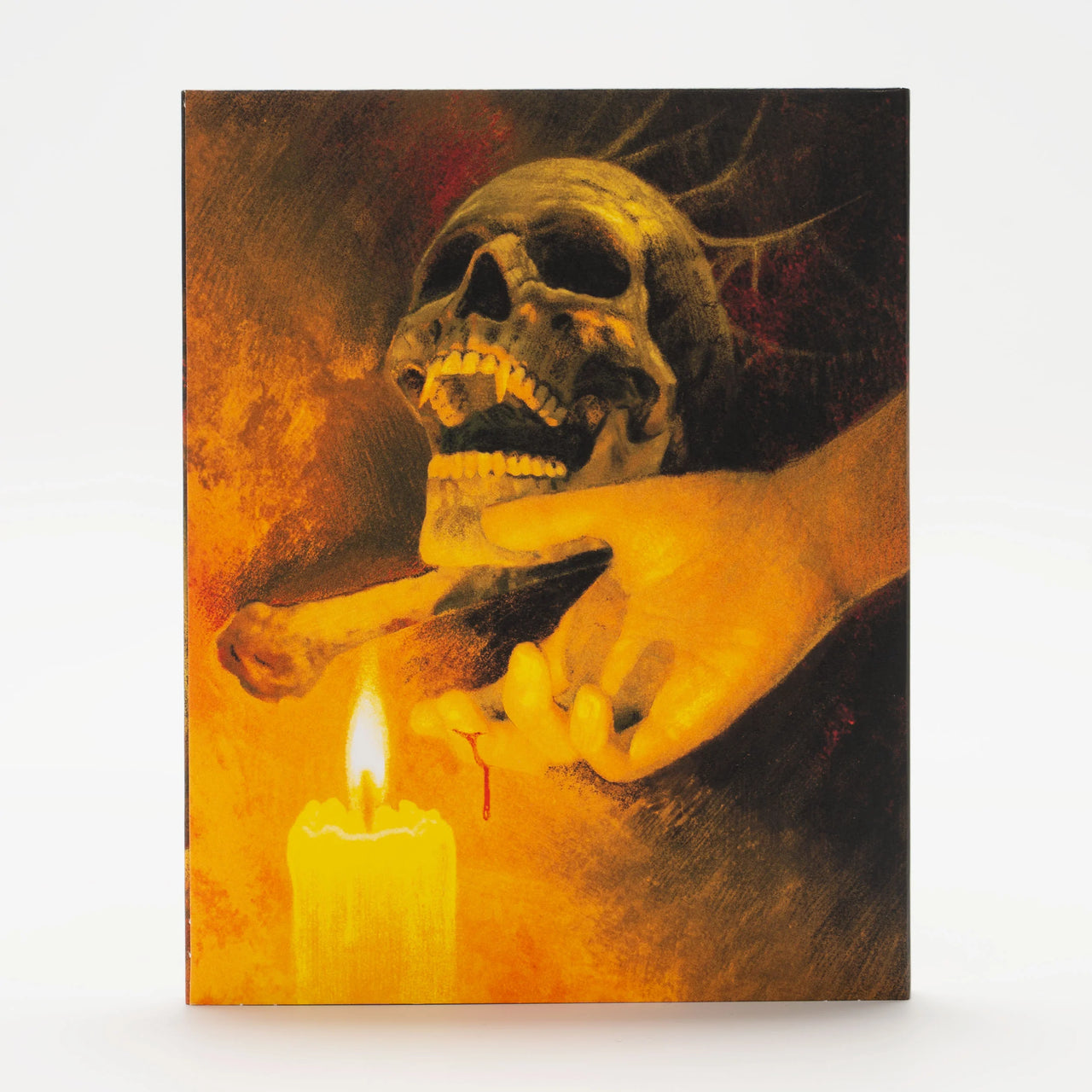 PRE-ORDER: Brotherhood of Blood Blu-Ray w/ Limited Edition Slipcover (Wild Eye Releasing)
