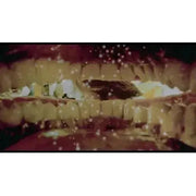 Vinegar Syndrome - Ebola Syndrome 4K UHD + Blu-Ray cover detail with grotesque imagery.