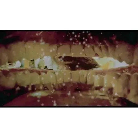 Vinegar Syndrome - Ebola Syndrome 4K UHD + Blu-Ray cover detail with grotesque imagery.