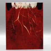 Film Movement I Am Not a Witch Blu-Ray with red artistic slipcover packaging