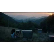 Film Movement - 20,000 Species of Bees Blu-Ray, scenic Basque countryside at sunset
