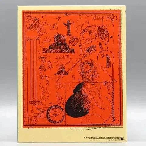 Vinegar Syndrome Labs The Belly of an Architect Blu-Ray with Slipcover - Artistic Cover Design