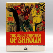The Black Panther of Shaolin Blu-Ray cover with martial arts fight scene artwork by AGFA
