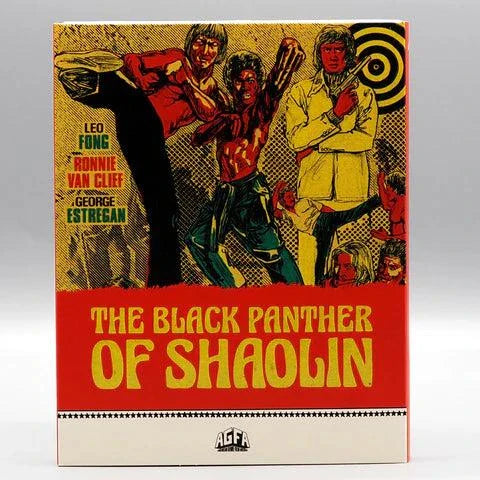 The Black Panther of Shaolin Blu-Ray cover with martial arts fight scene artwork by AGFA