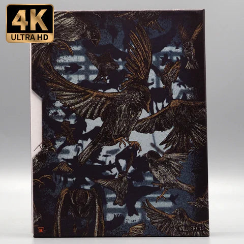 4K UHD Vinegar Syndrome The Dark Half Blu-Ray with slipcase, featuring crows artwork.