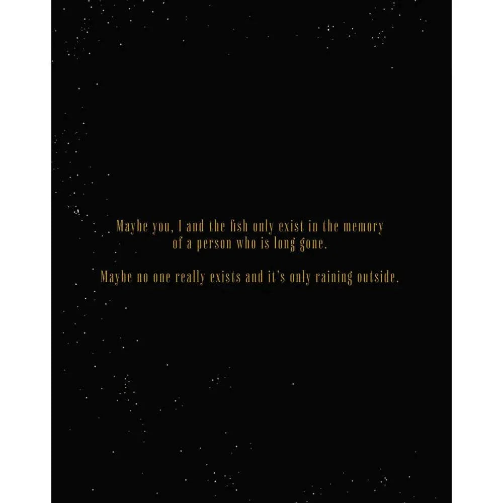 Angel's Egg 4K UHD pre-order with limited edition slipcover featuring poetic text on a starry black background