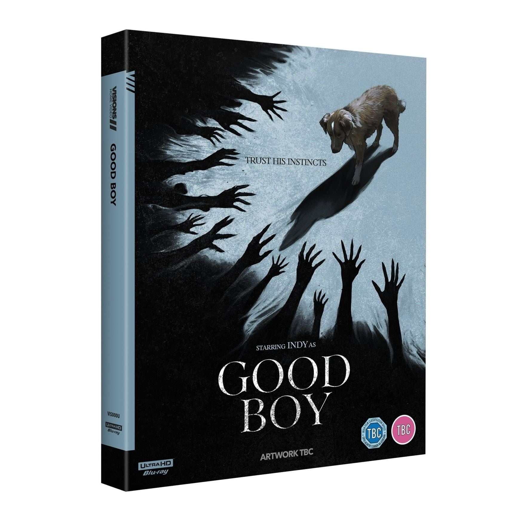 Good Boy 2025 4K UHD steelbook with slipcover featuring supernatural thriller artwork and collectible extras