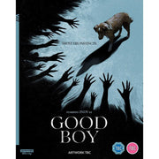 Good Boy (2025) 4K UHD movie cover with dog and shadowy hands, pre-order with extras and slipcover