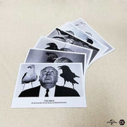 The Birds 4K UHD limited edition steelbook with black and white Alfred Hitchcock movie stills cards and extras